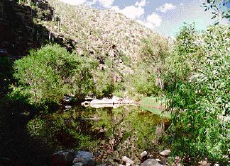 Sabino Canyon photo