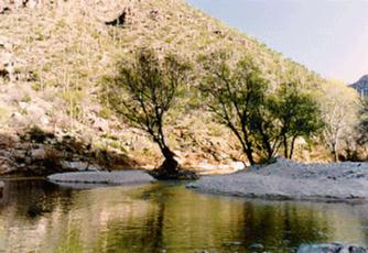 Sabino Canyon photo