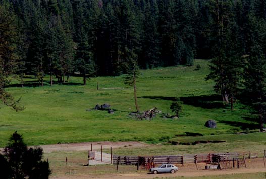 Brown's Meadow