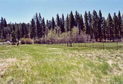 Bourne's Meadow Photo 5