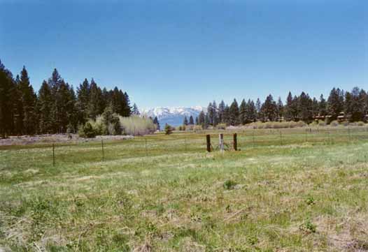 Bourne's Meadow Photo 2