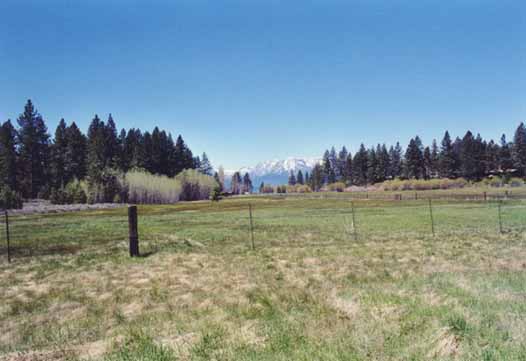 Bourne's Meadow Photo 7