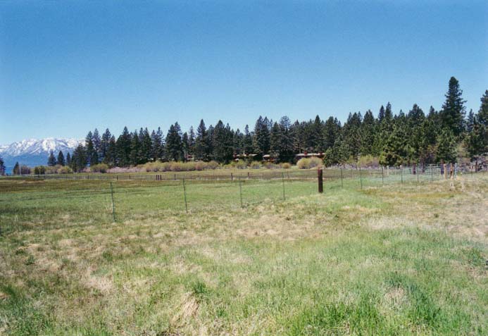 Bourne's Meadow Photo - 8