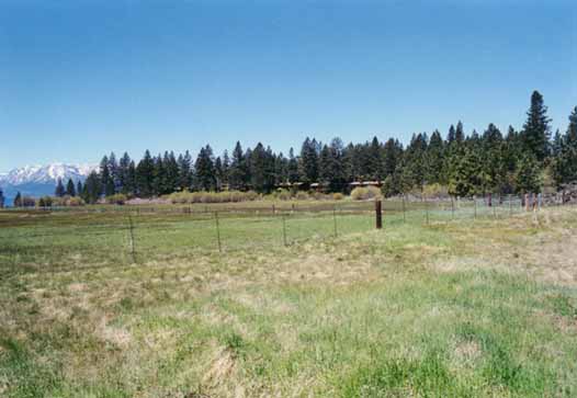 Bourne's Meadow Photo 8