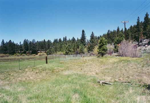 Bourne's Meadow Photo 9
