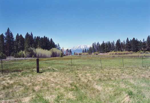 Bourne's Meadow Photo 6