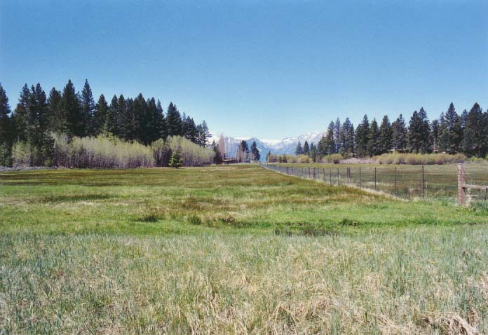 Bourne's Meadow Photo - 1