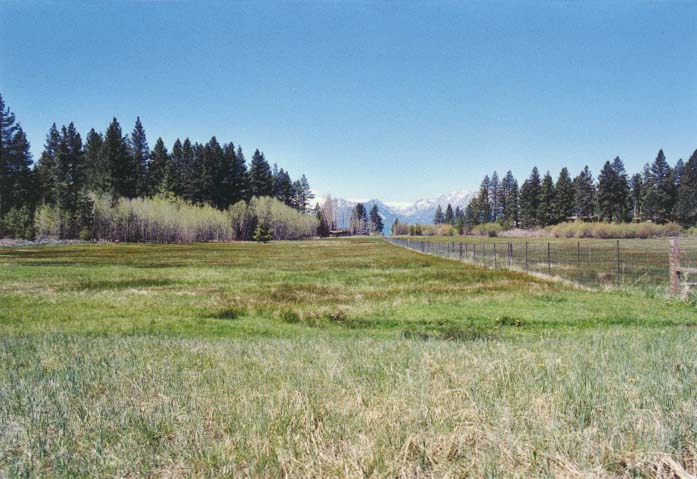 Bourne's Meadow Photo - 10