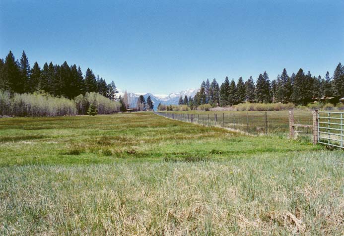 Bourne's Meadow Photo - 11