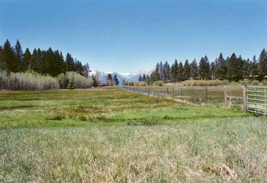 Bourne's Meadow Photo 11