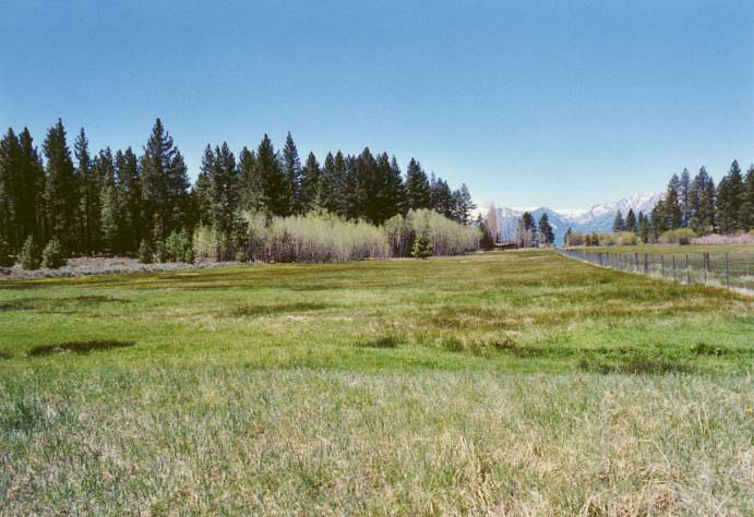 Bourne's Meadow Photo - 12
