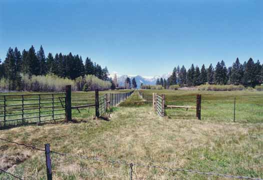 Bourne's Meadow Photo 13