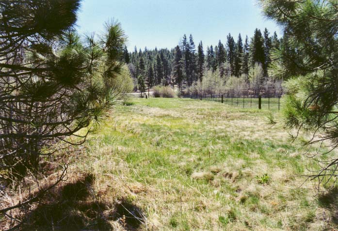 Bourne's Meadow Photo - 14