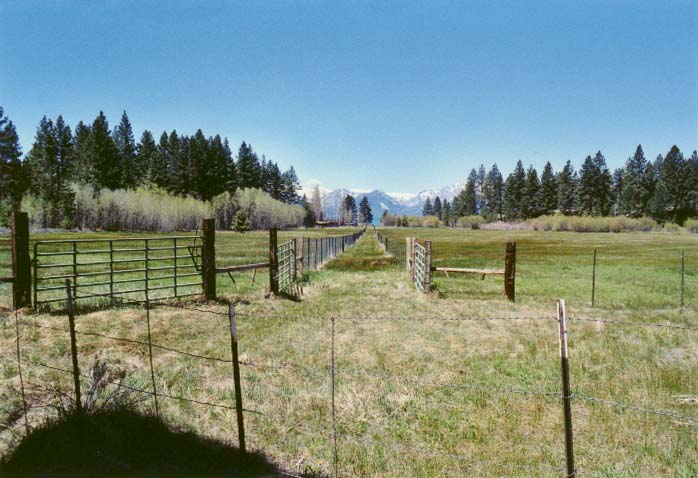 Bourne's Meadow Photo - 15