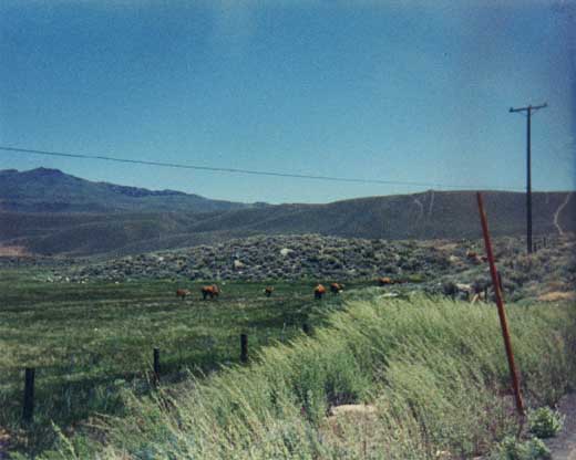 Sonora Junction Photo