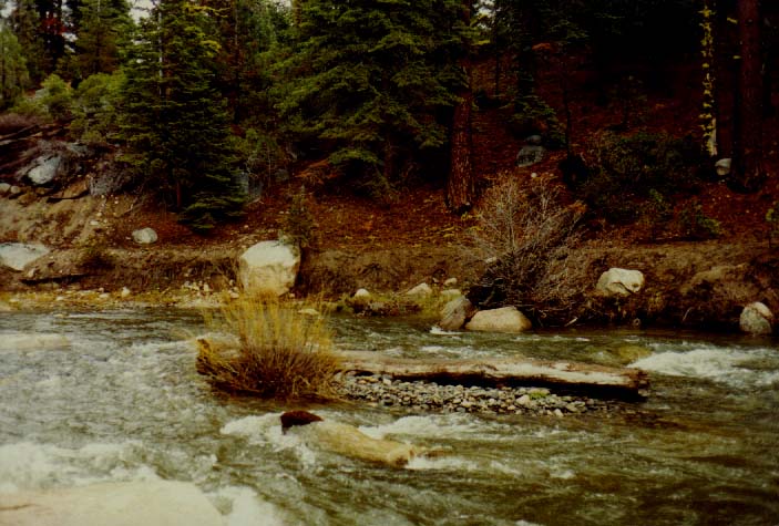 Clark Fork River Photo