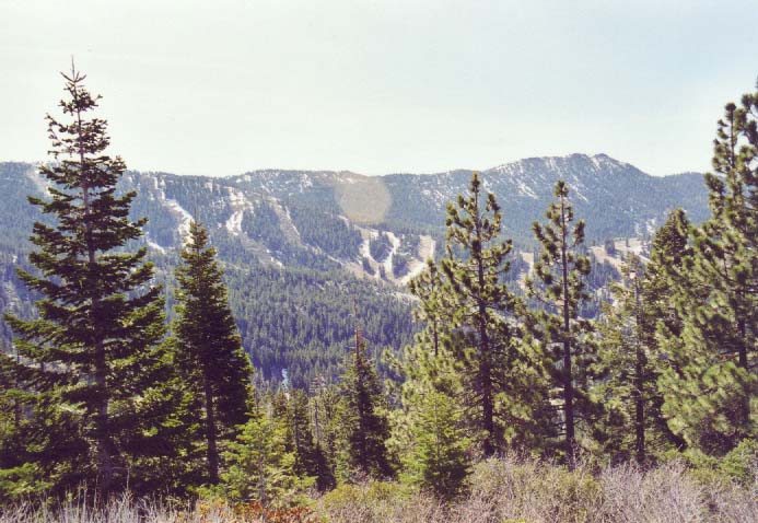 Diamond Peak Photo 3