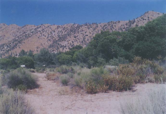 Kern River Valley Photo