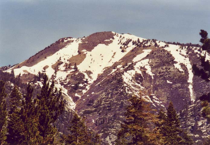 Mount Rose: West Summit Photo 16