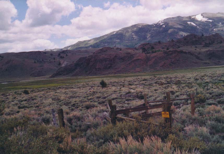 Pickel Meadows Photo