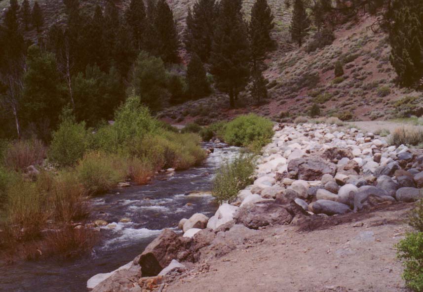 Pickel Meadows Photo