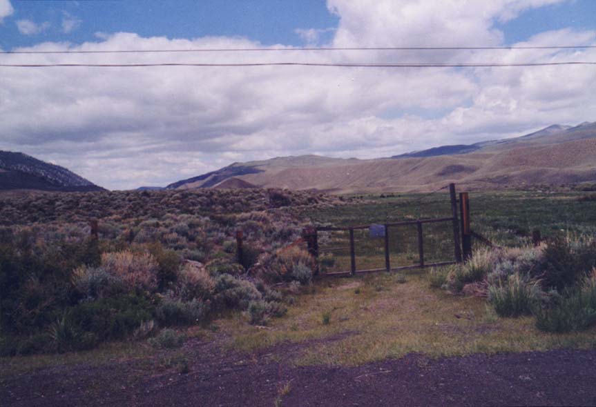 Sonora Junction Photo