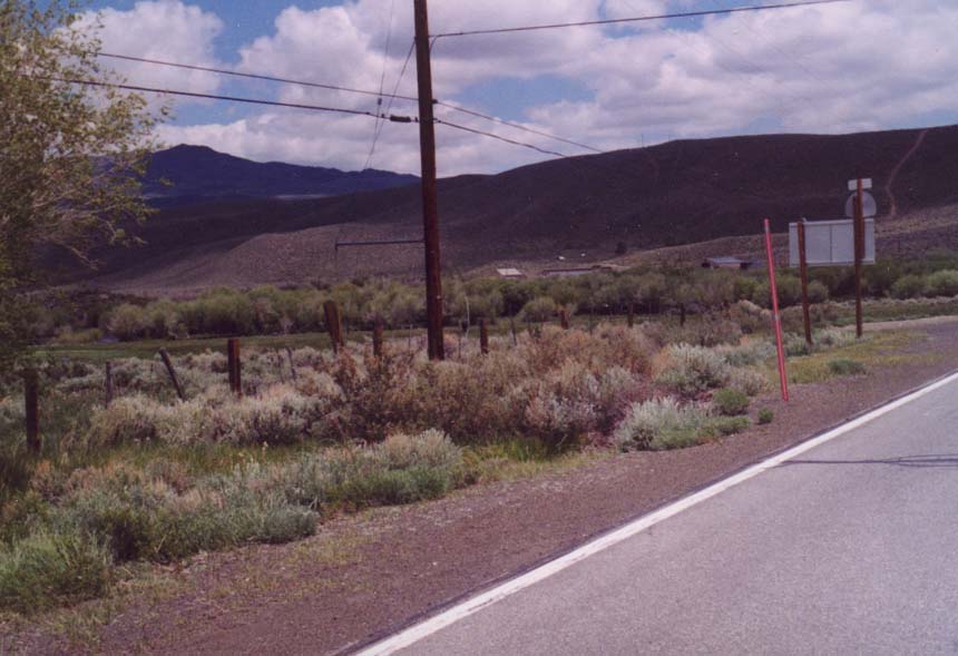 Sonora Junction Photo