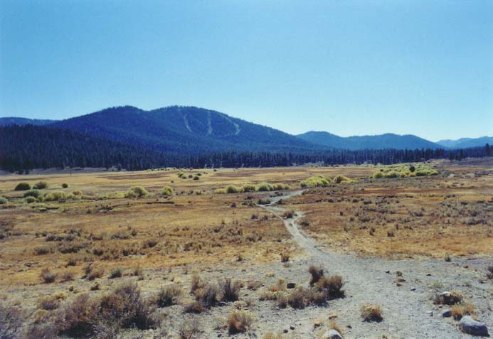 Gooseneck Meadow Photo 24