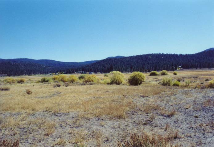 Gooseneck Meadow Photo 38