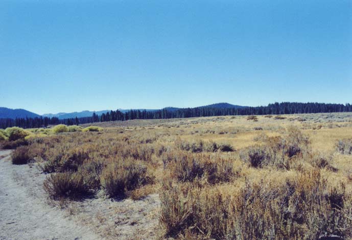 Gooseneck Meadow Photo 41