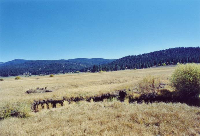 Gooseneck Meadow Photo 45