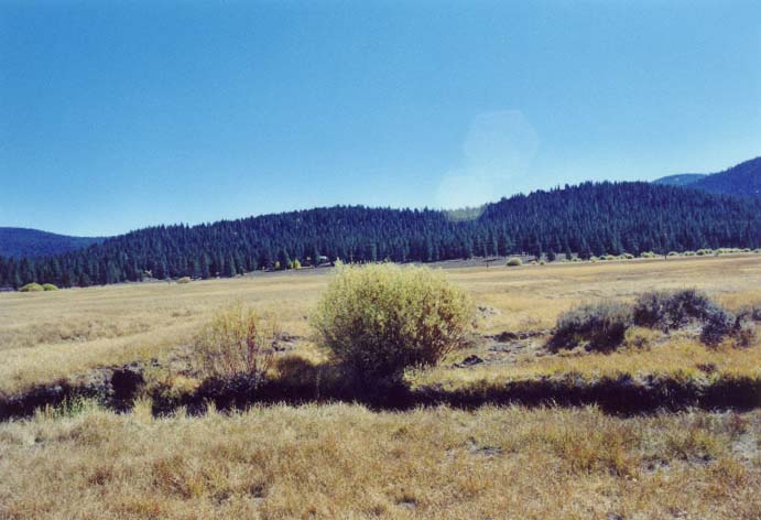 Gooseneck Meadow Photo 46