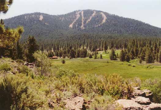 Gooseneck Meadow Photo