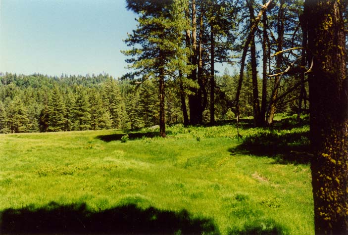 Brown's Meadow Photo