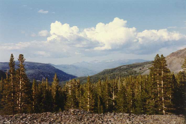 Sonora Pass Photo