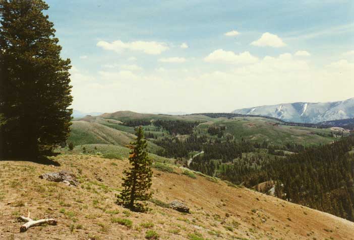 Sonora Pass Photo