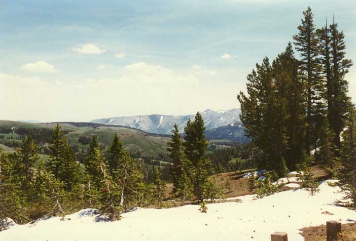 Sonora Pass Photo