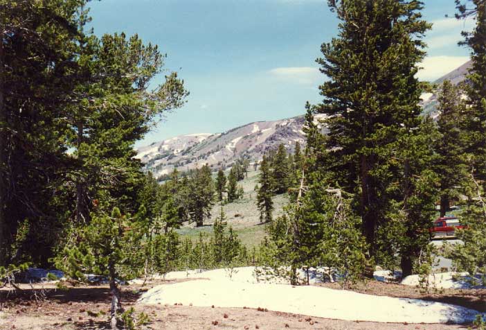 Sonora Pass Photo