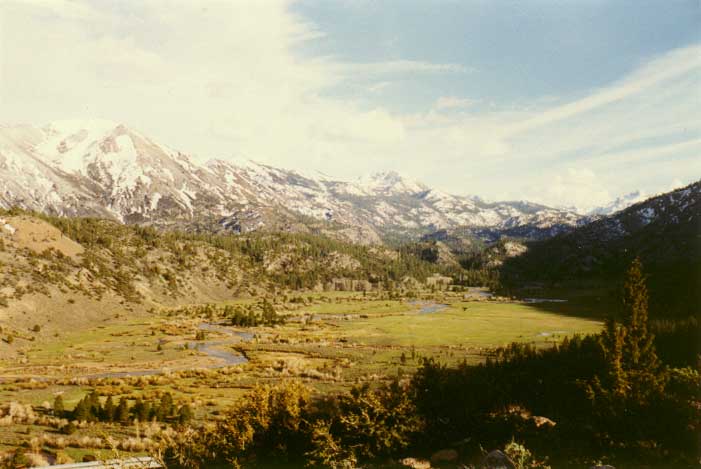 Sonora Pass Photo