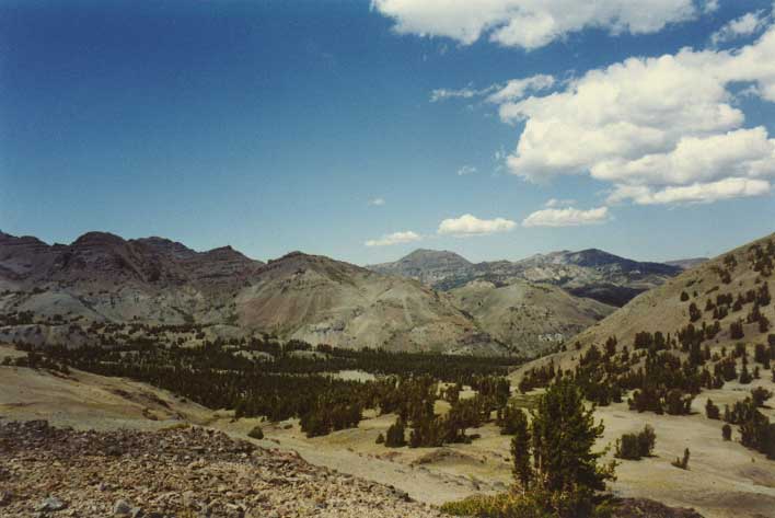 Sonora Pass Photo