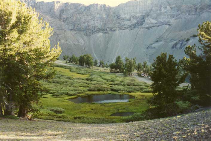 Sonora Pass Photo