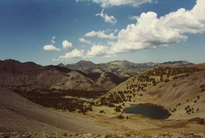 Sonora Pass Photo