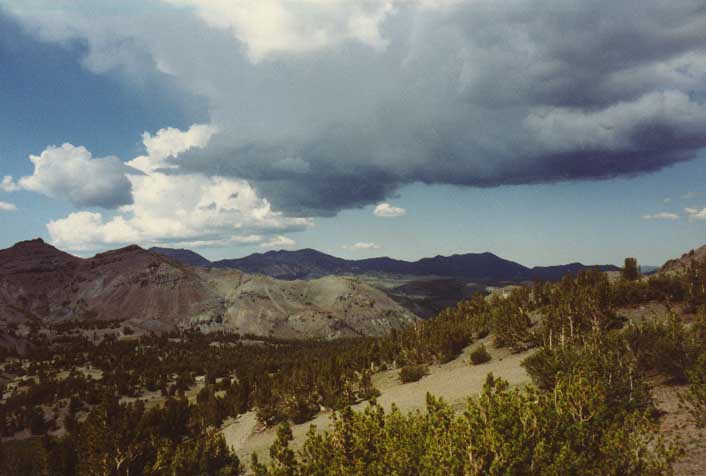 Sonora Pass Photo