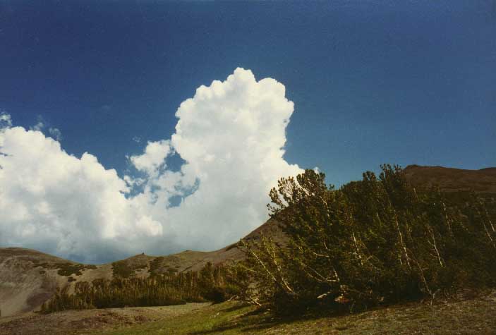 Sonora Pass Photo