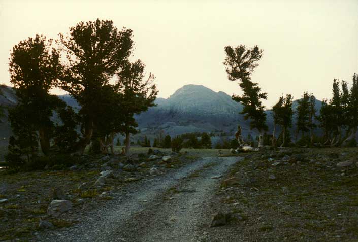 Sonora Pass Photo