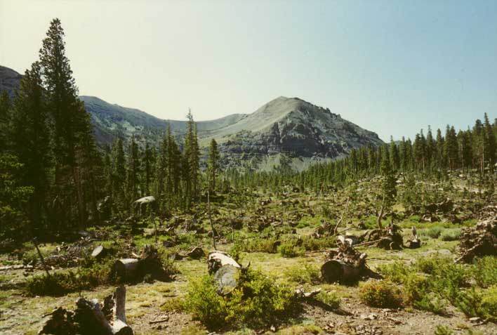 Sonora Pass Photo