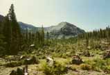 Sonora Pass Photo