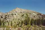 Sonora Pass Photo