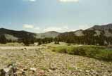 Sonora Pass Photo