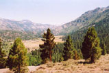 Sonora Pass Photo